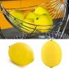 JuzToys 12pcs Yellow & Green Artificial Lifelike Simulation Lemon Fake Fruit Home Kitchen Cabinet Decoration - 4 of 4