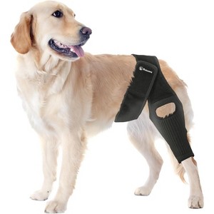Dog Knee Brace Dog Knee Brace for Torn Acl Hind Leg Dog Leg Braces for Back Leg Size Medium Dog Acl Brace Hind Leg Acl Brace for Dogs - 1 of 4