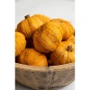Orange Faux Pumpkins – Bag of 15 for Seasonal Decor by Kalalou - 3 of 3