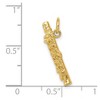 Black Bow Jewelry 14k Yellow Gold 3D Flute Pendant - 3 of 4