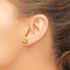 Black Bow Jewelry 8.5mm (5/16 in) 14k Yellow Gold Polished & Textured Love Knot Earrings - 3 of 4