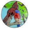 Northlight 19" Blue and Red Cardinal Glass Patio Side Table - 3 of 4