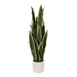 finger succulent plant Finger Jade Plant