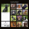 2026 Square Wall Calendar, Cocker Spaniels, 16-Month Paw Prints Theme with 180 Reminder Stickers (12x12 In) - 4 of 4
