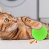 Unique Bargains Interactive Cat Playing Ball with Bell - 2 of 4