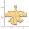 Black Bow Jewelry 10k Yellow Gold Southern Illinois Salukis NCAA Large Pendant - 2 of 3
