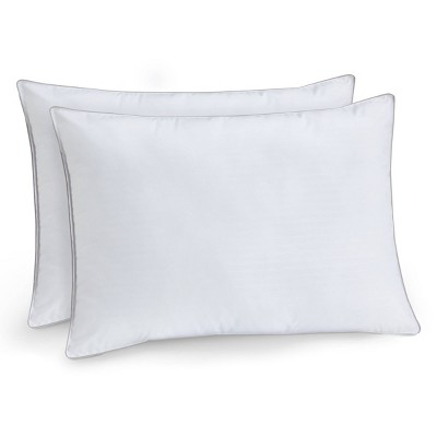 Claritin Medium/Firm Machine Washable 2pk Pillow