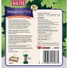 Kaytee Mealworms 3.5 OZ - 3 of 4