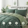 BAGOKIE 2/3 Pieces Bedding Set Down Alternative Comforter with Pillowcase - 2 of 4