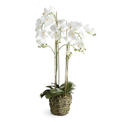 Plum & Post 44" Phalaenopsis Orchid Drop-In Artificial Faux Floral Flower Plant