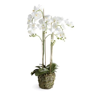 Plum & Post 44" Phalaenopsis Orchid Drop-In Artificial Faux Floral Flower Plant - 1 of 2