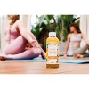 JuneShine Organic Mango Kombucha - 16 fl oz - 4 of 4