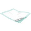 Wings Plus Incontinence Underpads, Heavy Absorbency, 36 in x 36 in, 48 Count - 2 of 3