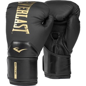 Everlast Elite 2 Hook and Loop Training Boxing Gloves - 1 of 1