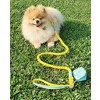 PoisePup – Luxury Pet Dog Waste Bag Holder – Soft Premium Italian Leather Poop Bag Dispenser - Sunshine Babe - 3 of 3