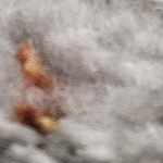 light gray, medium gray, off white, rust, charcoal