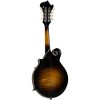 Kentucky KM-750 Deluxe F-Style Mandolin Vintage Sunburst - 2 of 4