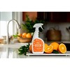 Angry Orange Pet Odor Eliminator Spray - 32 fl oz - image 3 of 4