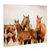 Stupell Industries Horse & Foals Photography, 20" x 16" - 3 of 4