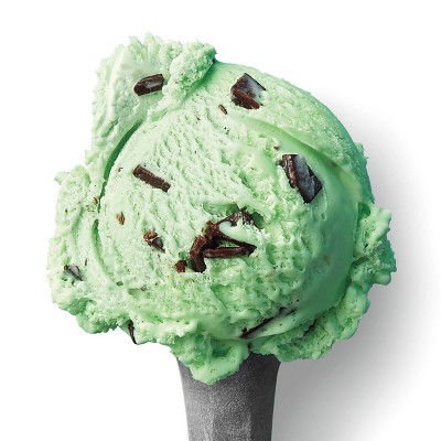 Mint Chocolate Chip Ice Cream - 48 fl oz - Favorite Day™