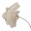 Vickerman 4" Natural Botanicals Dried Sola Flower on Wire Stem - 4 of 4
