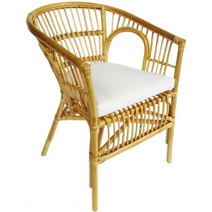 D-Art Collection Rattan Kiko Chair - 1 of 2