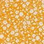 yellow white flower