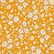 yellow white flower