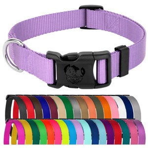 Country Brook Petz Everyday Nylon Dog Collar - 1 of 4
