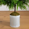 Nearly Natural 5' Artificial Real Touch Norfolk Island Pine in Metal Tin Planter with Natural Look - 3 of 4