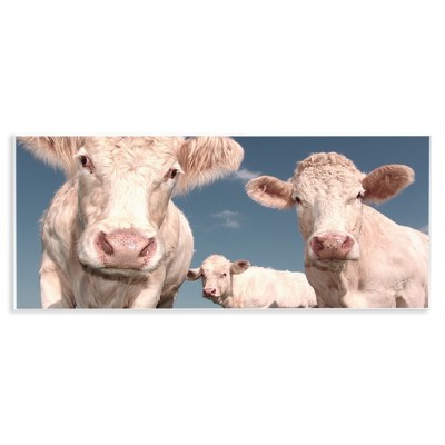 Stupell Industries Three White Cows, 17" x 7"