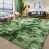Tie-Dyed Green Fluffy Area Rug, Ultra Soft Non-Slip Mat with 4 Stickers, Multiple Sizes for Home Decor - 4 of 4