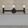 Livex Lighting Copenhagen 3 - Light Vanity in  Black - 4 of 4