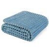 PAVILIA Super Soft Fleece Flannel Ribbed Striped Throw Blanket, Luxury Fuzzy Plush Warm Cozy for Sofa Couch Bed - 2 of 4