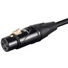 Monoprice Starquad XLR Microphone Cable - 35 Feet - Black | XLR-M to XLR-F, 24AWG, Optimized for Analog Audio - Gold Contacts - Stage Right Series - image 4 of 4