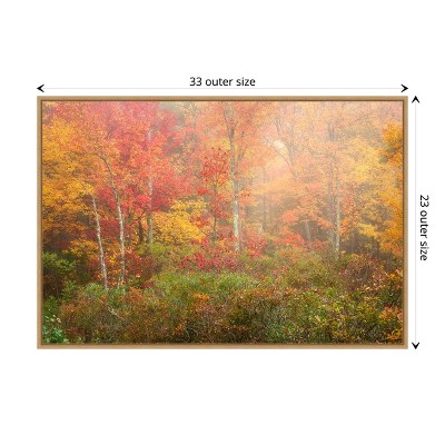 Autumn Forest Landscape Canvas Wall Art in Warm Hues