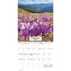 Trends International 2026 Nature's Bouquet 12"x12" Wall Calendar - 3 of 4