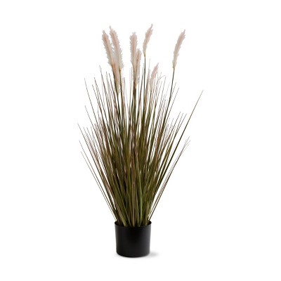 tagltd Foxtail Grass