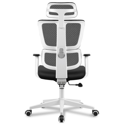 KERDOM Ergonomic Mesh Office Chair - High Back Computer Chair with Adjustable Lumbar Support and 360 Degree Swivel, White