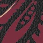 florida state seminoles