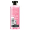 Herbal Essences Travel Size Smooth Shampoo with Rose Hips & Jojoba Extracts - 3.38 fl oz - image 2 of 4