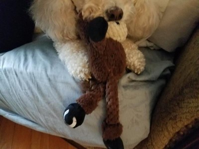 Guest review image 1 of 3, zoom in