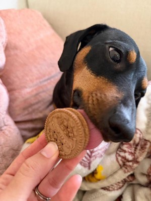 Guest review image 2 of 4, zoom in