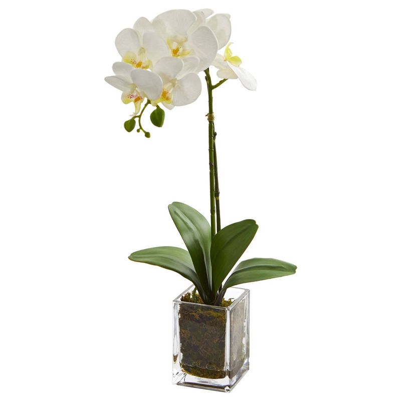 Nearly Natural 24-in Orchid Phalaenopsis Artificial Arrangement in Vase, 1 of 4