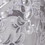 silver shimmer