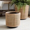Plum & Post Lyla Dry Basket Planters Set of 2 - 3 of 4