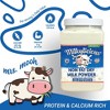 MILKYLICIOUS Non-Fat Dry Milk Powder PACK of 1 - 20 Oz - 2 of 4