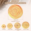 Unique Bargains Woven Braided Washable Decorative Round Placemat 4 Pcs - 2 of 4