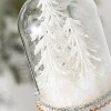 Sullivans Trees In Cloche Glass Ornament 4"H White - 2 of 2