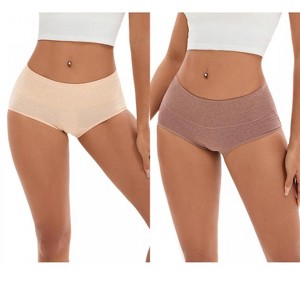 INSPIRE CHIC 2 Pcs Women's Plus Size High Waisted Tummy Control Briefs Butt Lifter Control Panties - 1 of 4